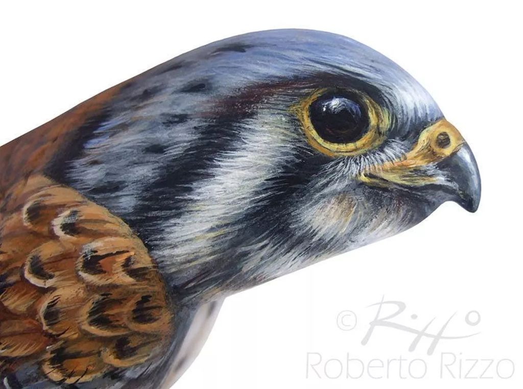 Forrás: Instagram/robertorizzoart