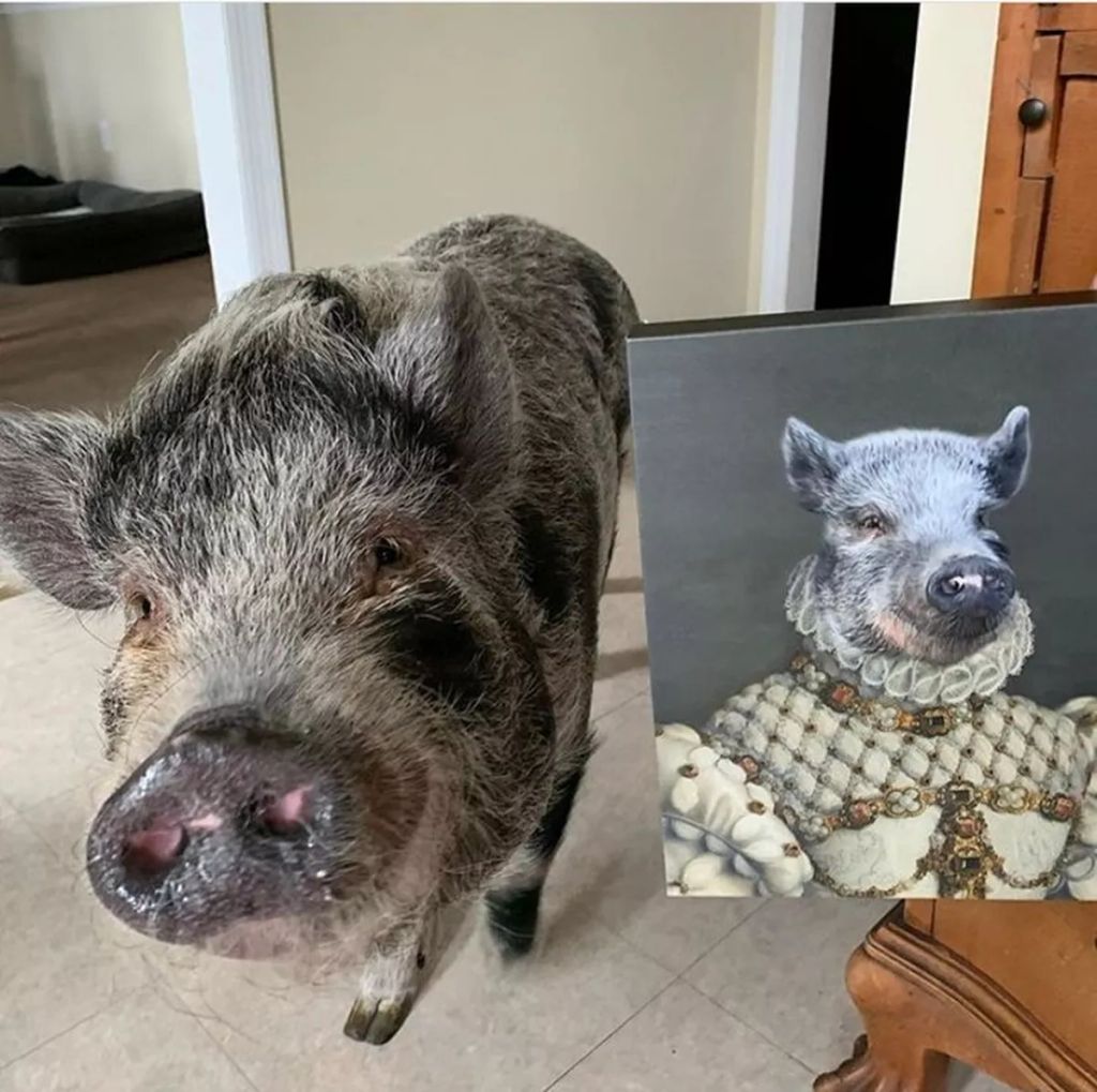 Forrás: Instagram/Crown & Paw