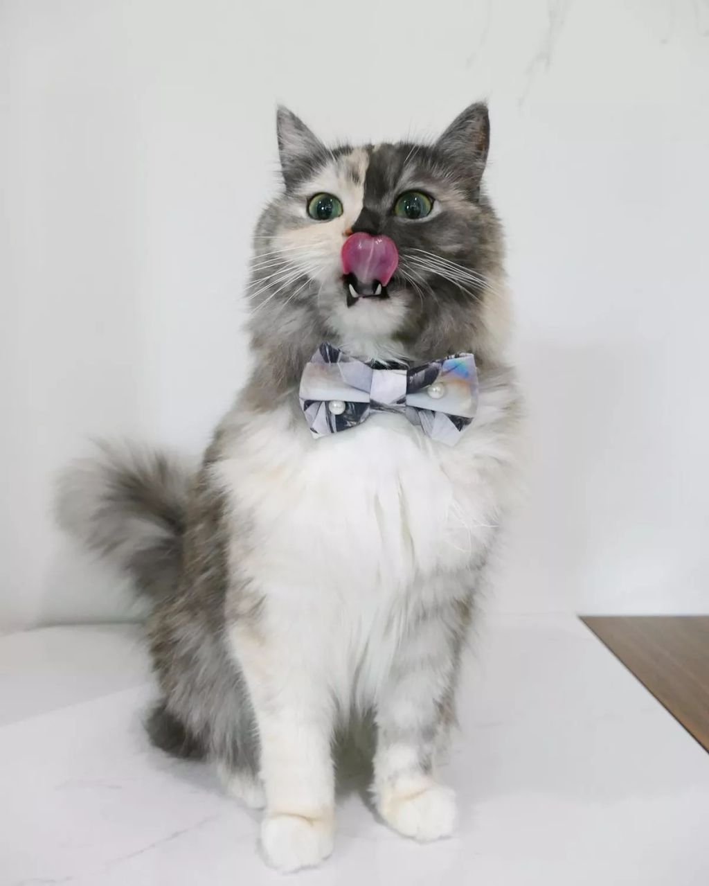 Forrás: Instagram/geri.cat