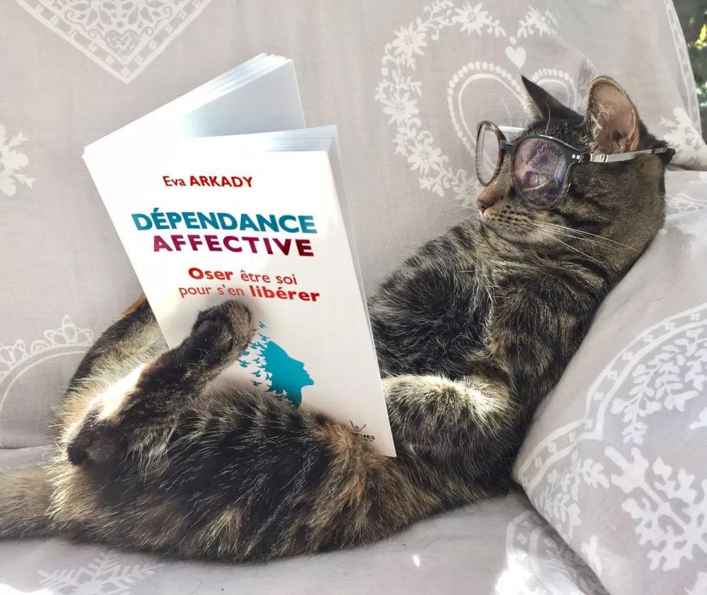 Forrás: Instagram/Cathode & Rémy