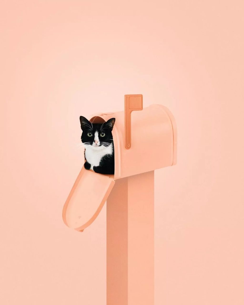 Forrás: Instagram/princesscheeto