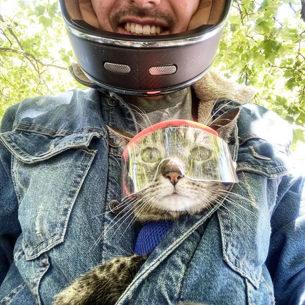 Forrás: Instagram/Cathode & Rémy