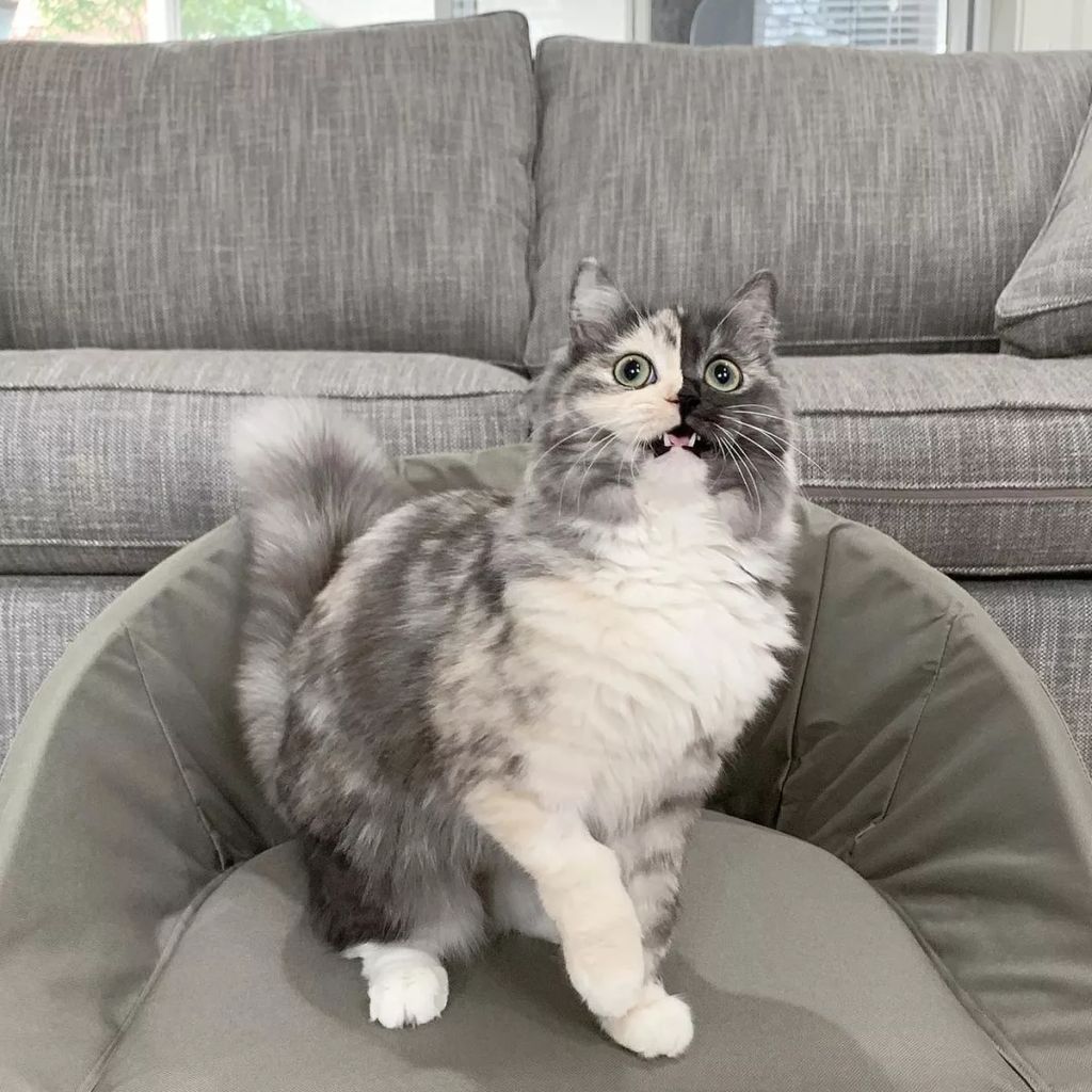 Forrás: Instagram/geri.cat