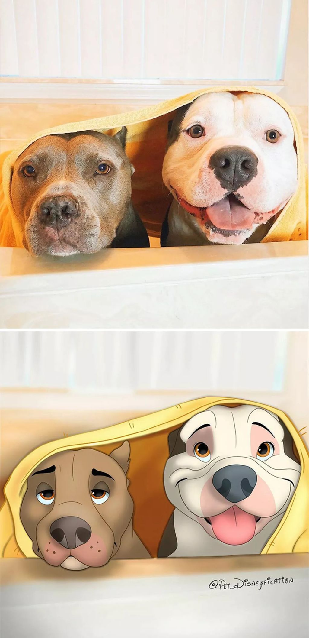 Forrás: Instagram/Pet Disneyfication, Boredpanda