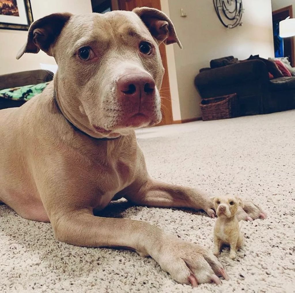 Forrás: Instagram/littlefeltedfriends
