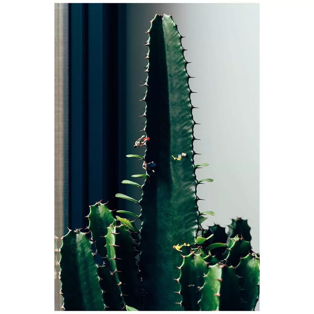Forrás: Instagram/Vincent Bousserez