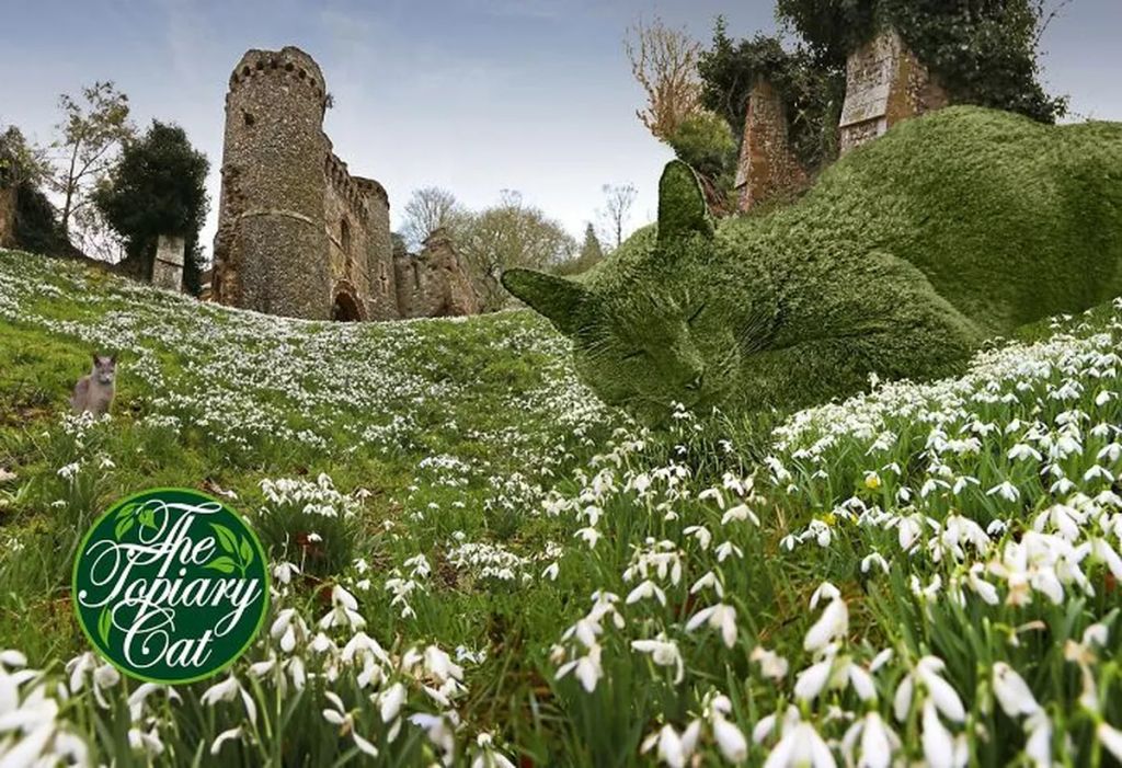 Forrás: The Topiary Cat, a creation by Richard Saunders