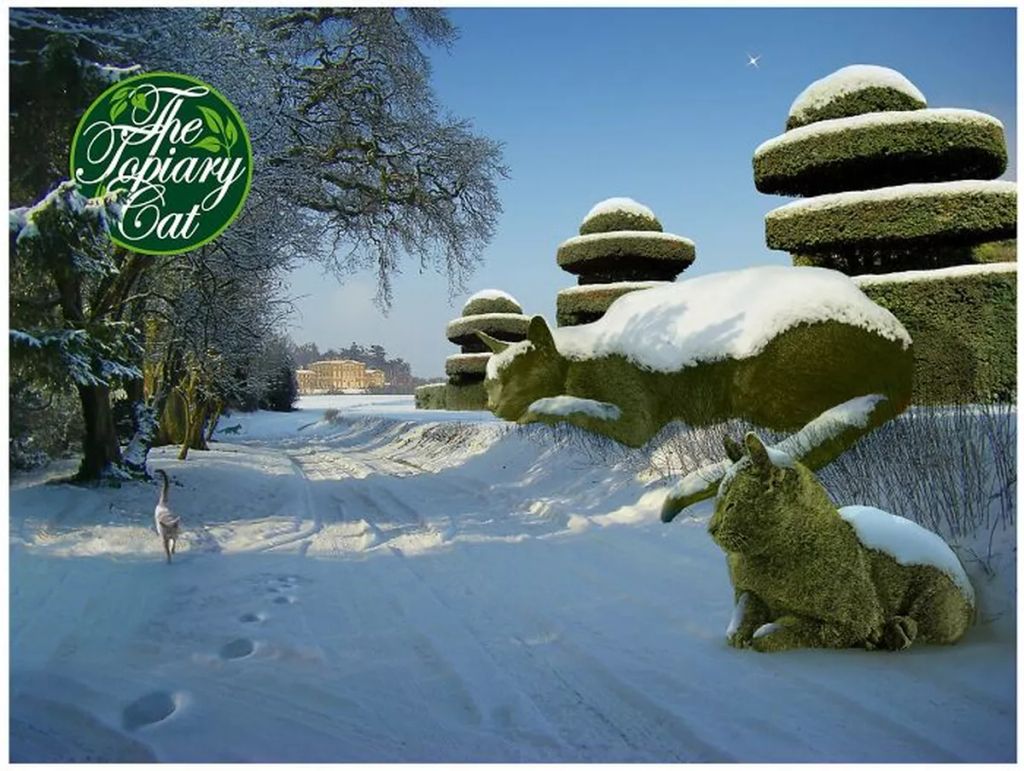Forrás: The Topiary Cat, a creation by Richard Saunders
