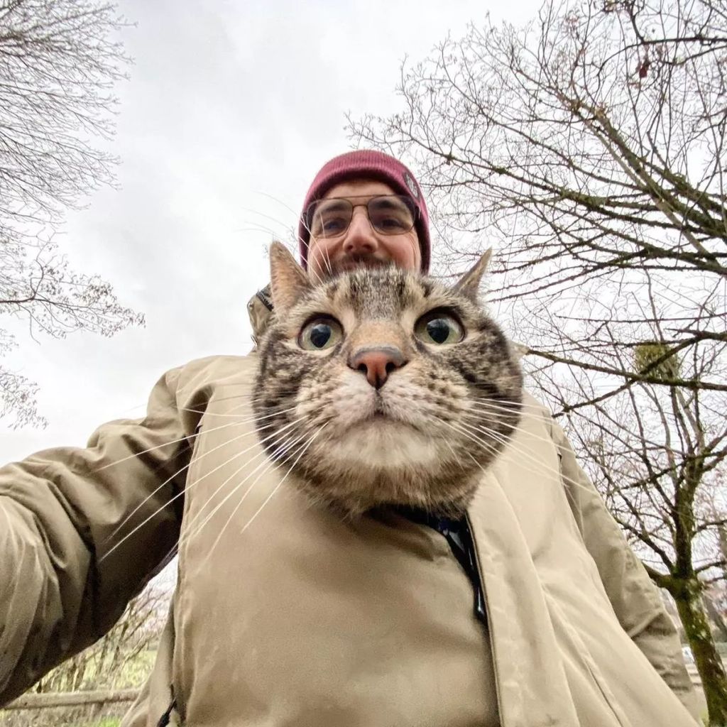 Forrás: Instagram/Cathode & Rémy