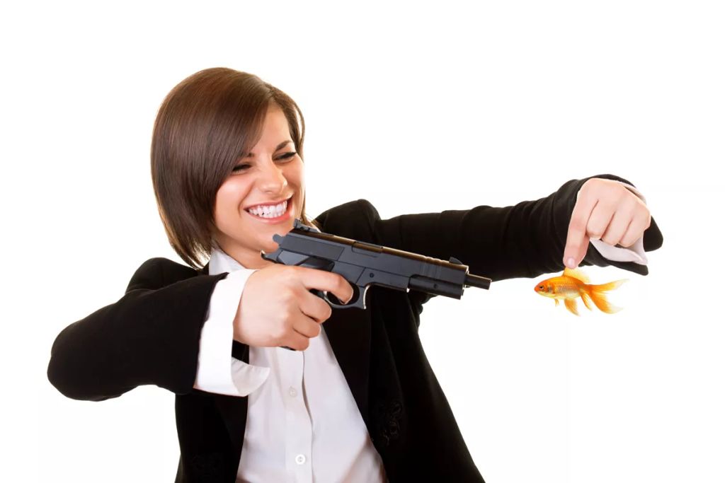 Forrás: Shutterstock 