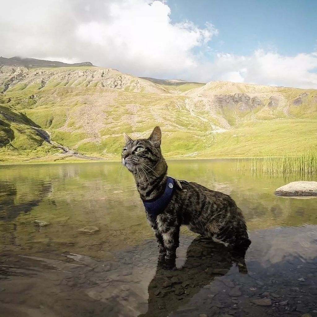Forrás: Instagram/Cathode & Rémy