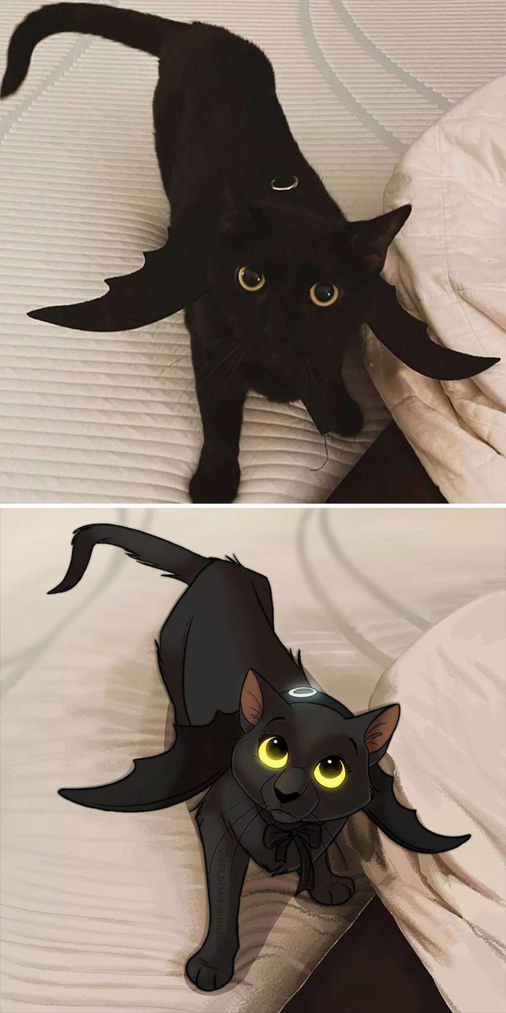 Forrás: Instagram/Pet Disneyfication, Boredpanda