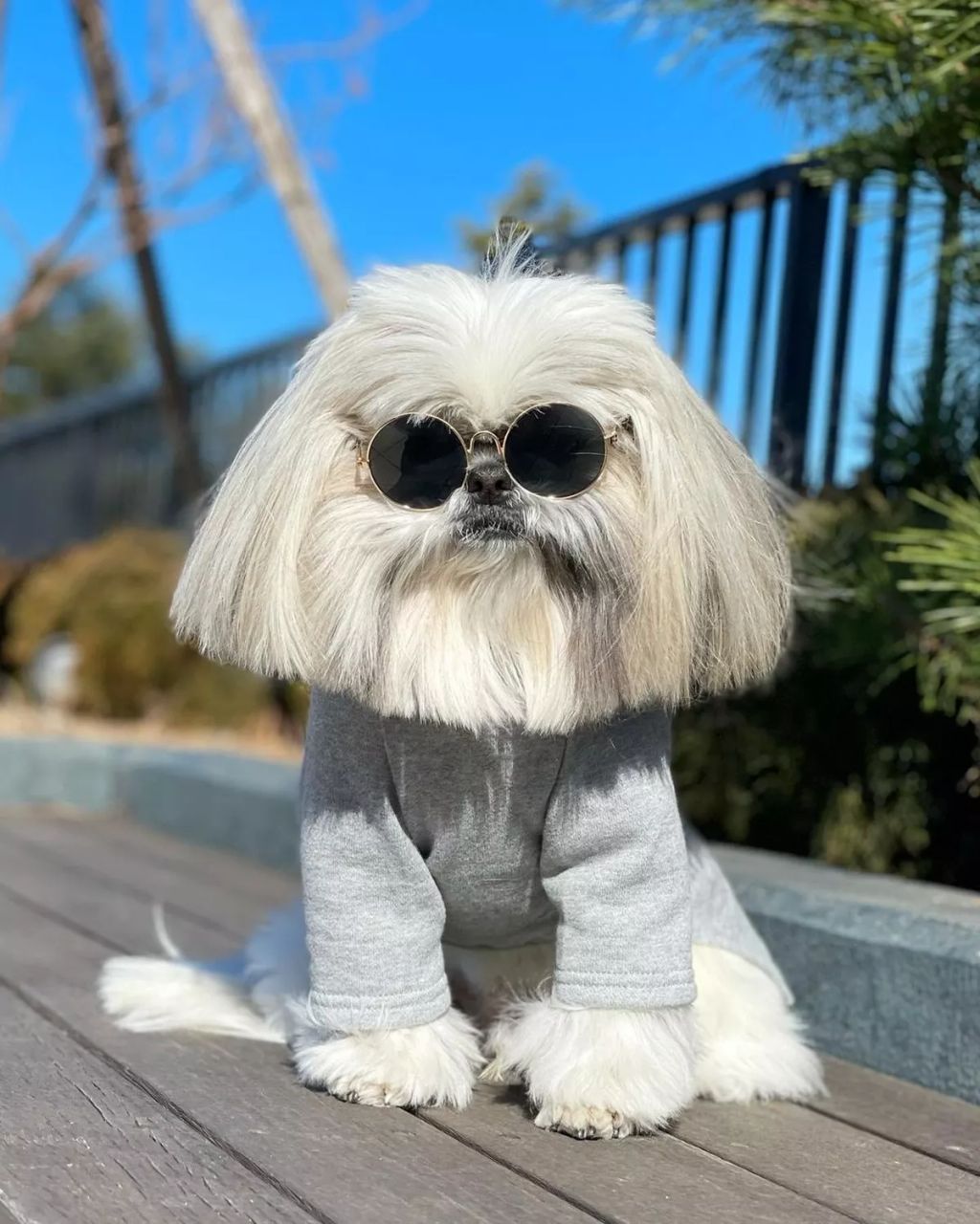Forrás: Instagram/bonten._.maru