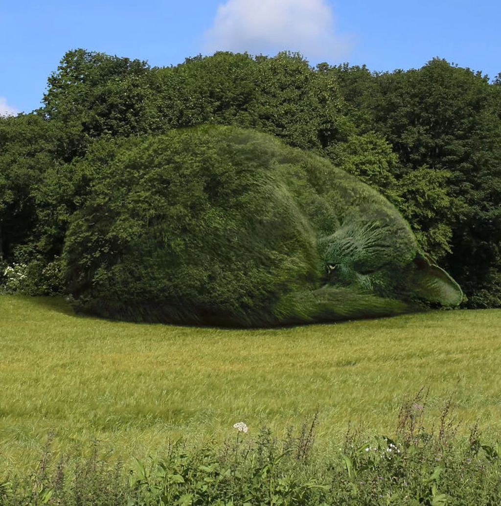 Forrás: The Topiary Cat, a creation by Richard Saunders
