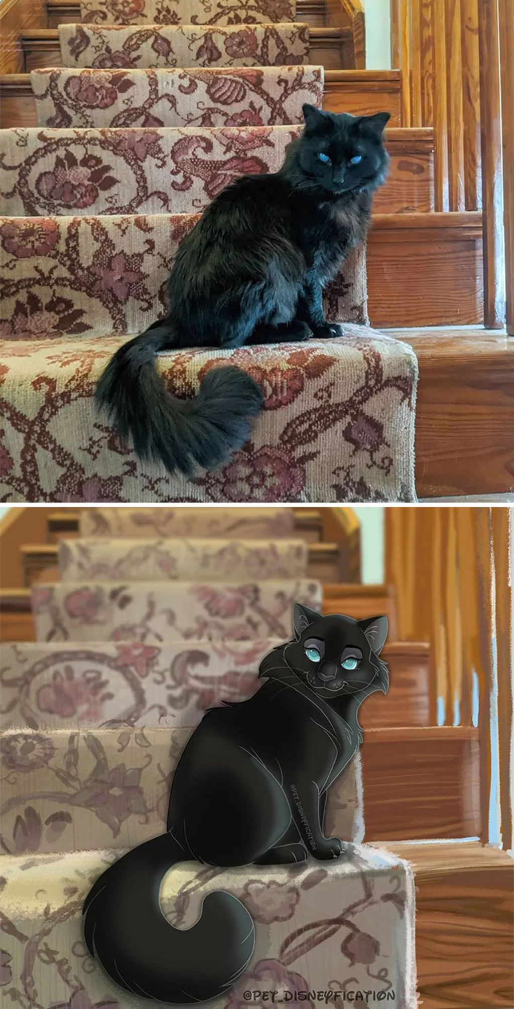 Forrás: Instagram/Pet Disneyfication, Boredpanda
