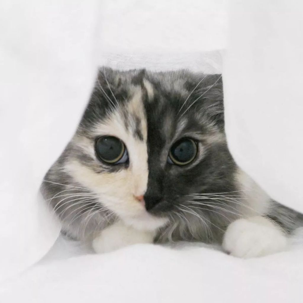 Forrás: Instagram/geri.cat