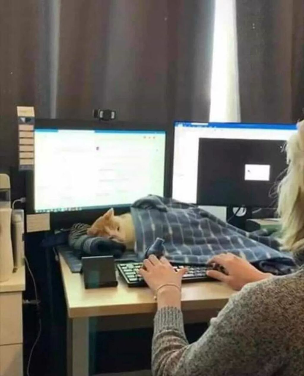 Forrás: Bored Panda