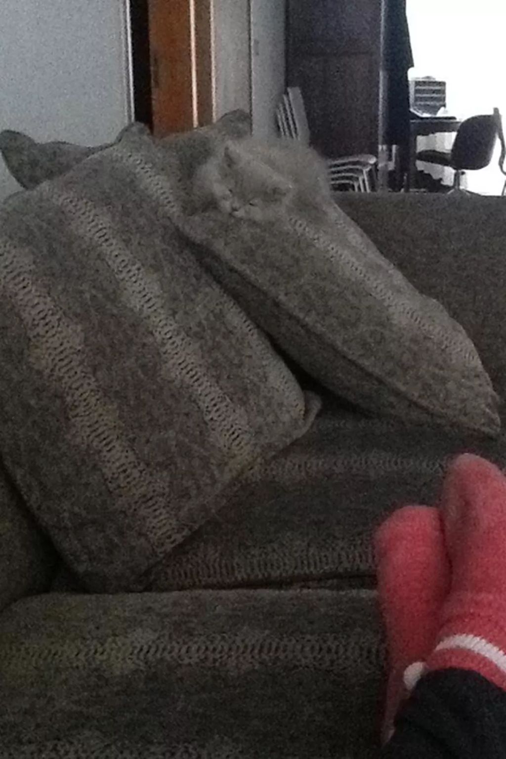 Forrás: Imgur 
