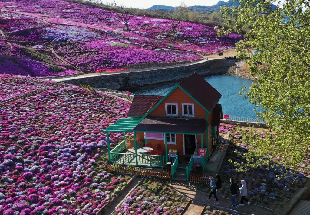 Forrás: NORTHFOTO/Xinhua News Agency / eyevine. All Rights Reserved./Yang Shiyao Xinhua / Eyevine
