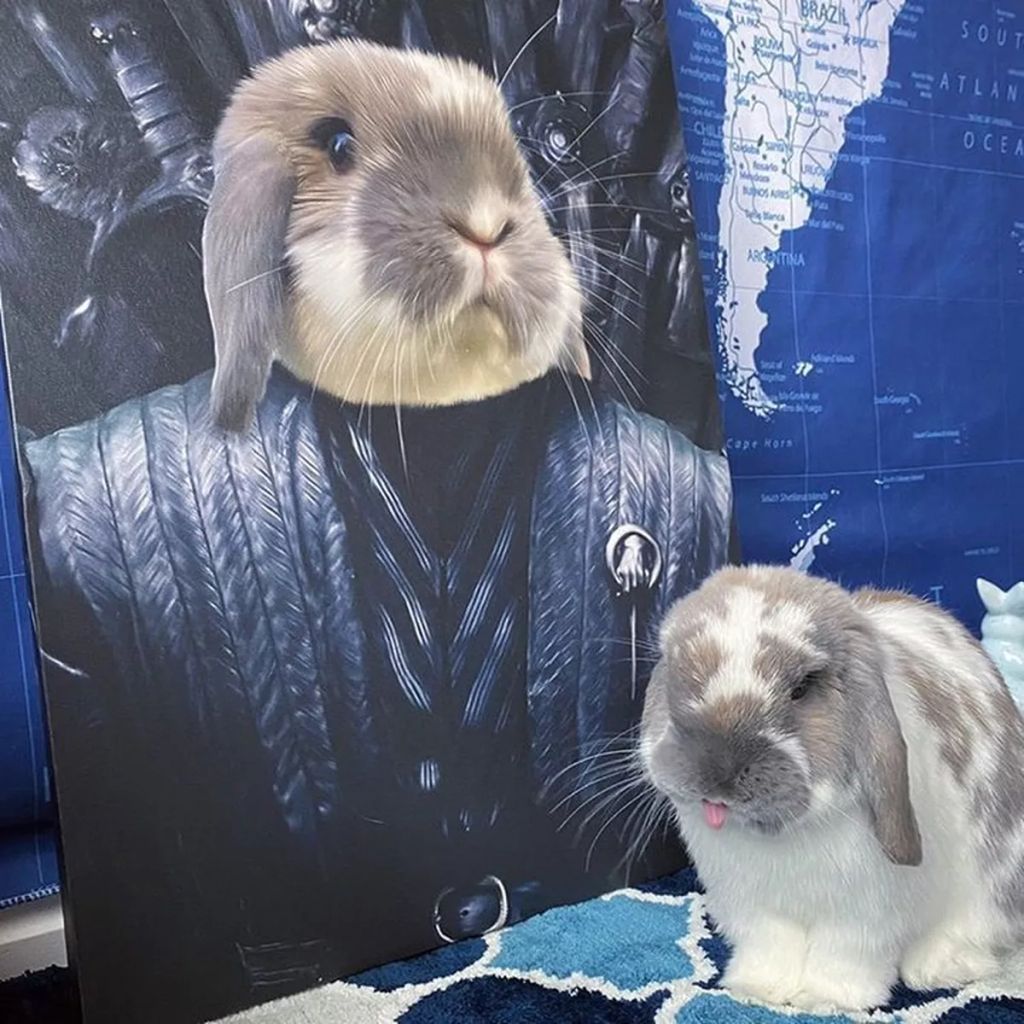 Forrás: Instagram/Crown & Paw