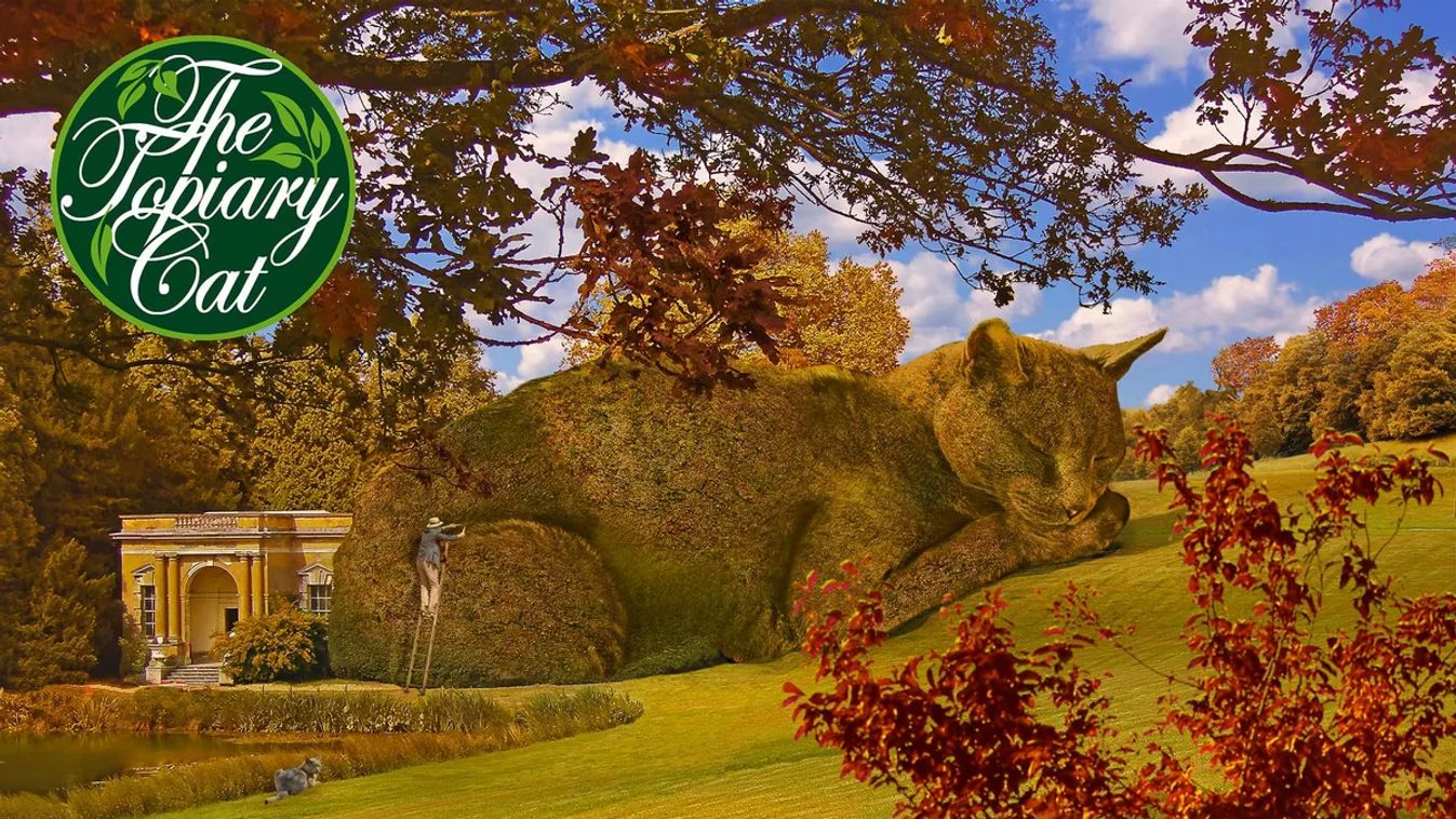 Forrás: The Topiary Cat, a creation by Richard Saunders