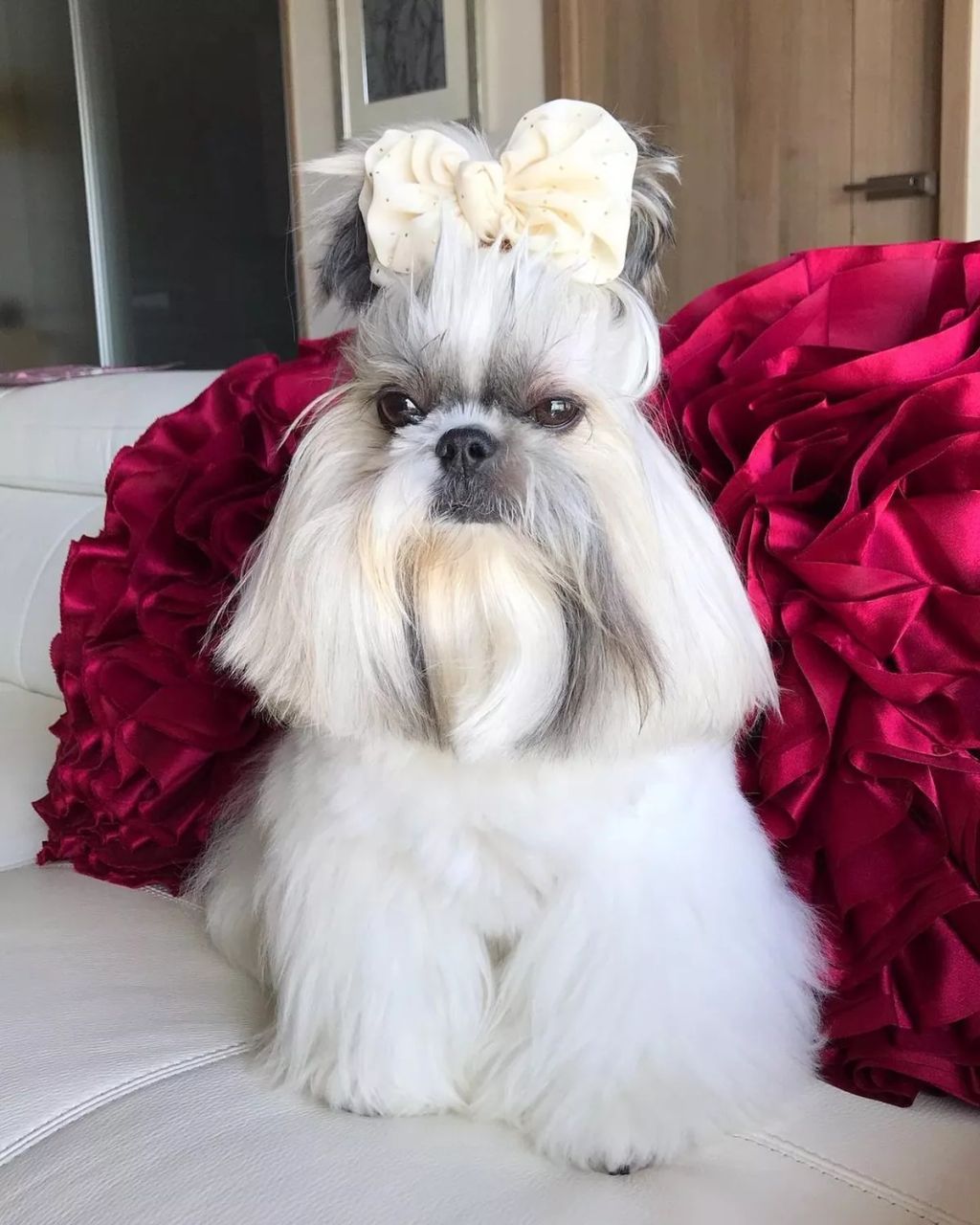 Forrás: Instagram/bonten._.maru