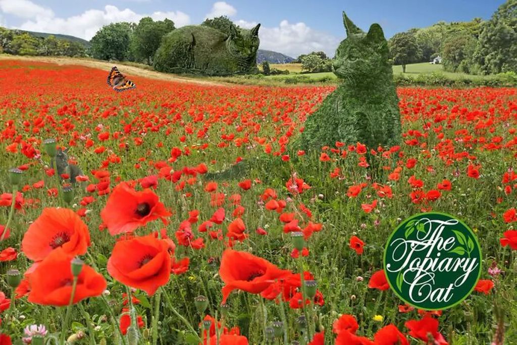 Forrás: The Topiary Cat, a creation by Richard Saunders