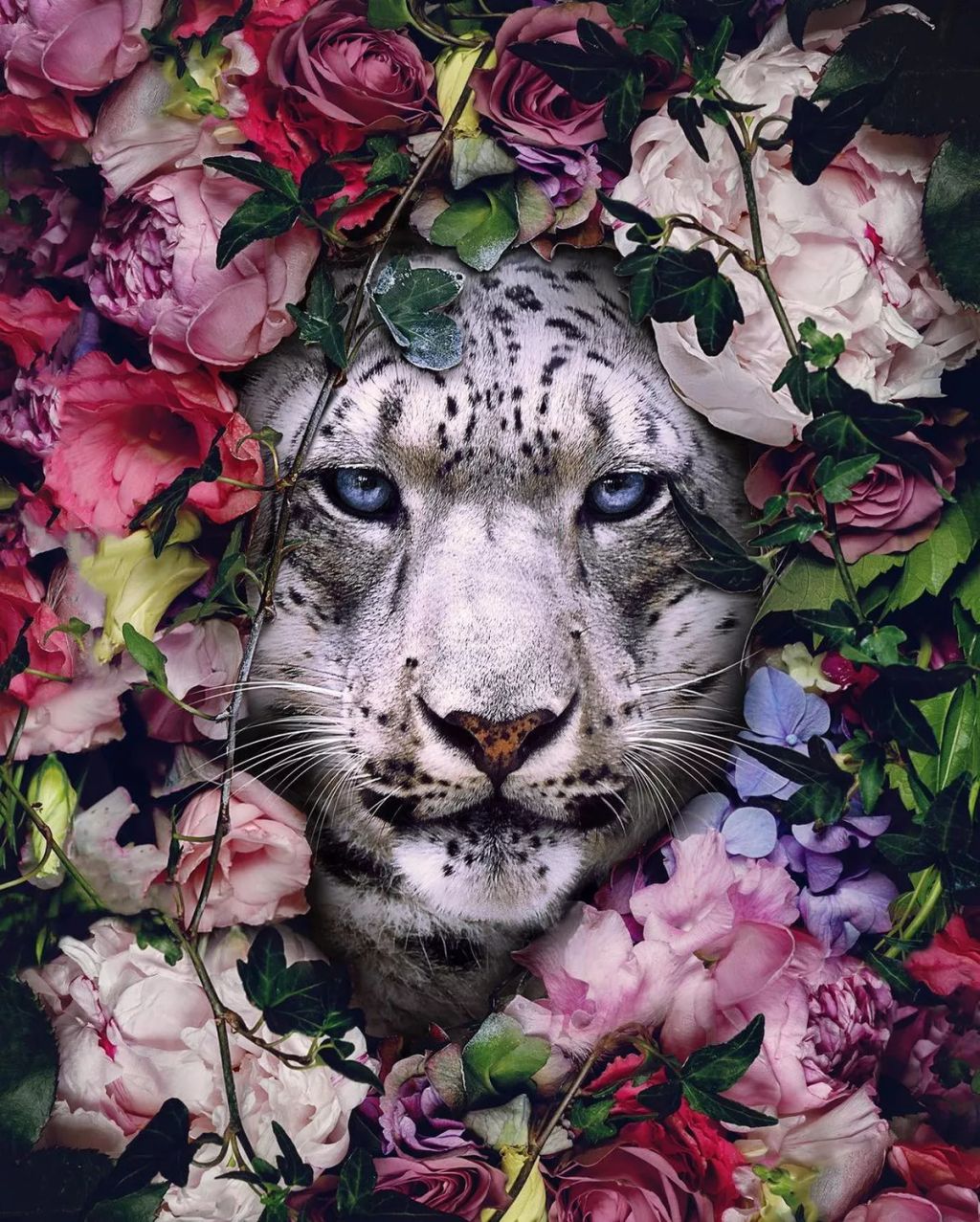 Forrás: Instagram/Andy Okay - Art for Causes
