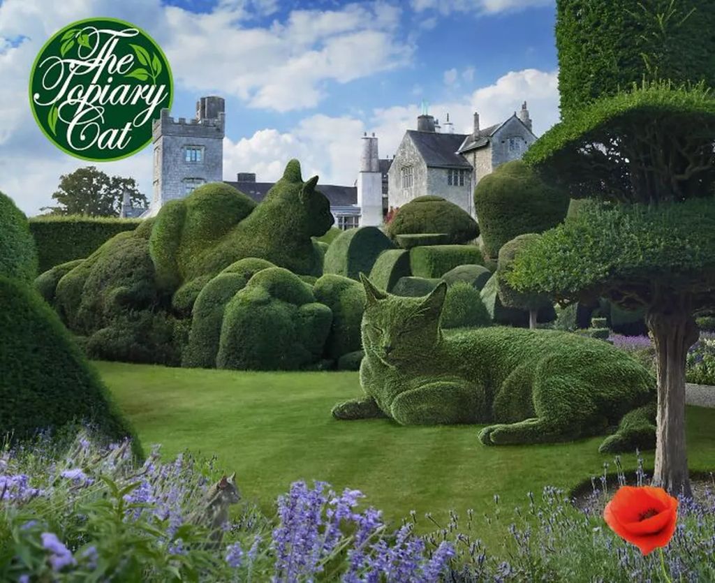 Forrás: The Topiary Cat, a creation by Richard Saunders