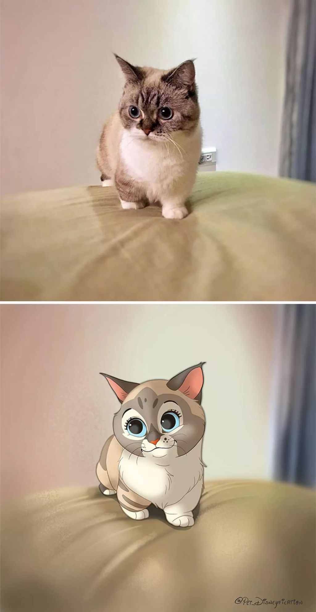 Forrás: Instagram/Pet Disneyfication, Boredpanda