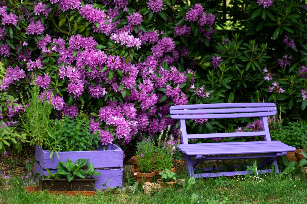 Pink,Empty,Wooden,Bench,With,Pink,Purple,Flowers,Of,A