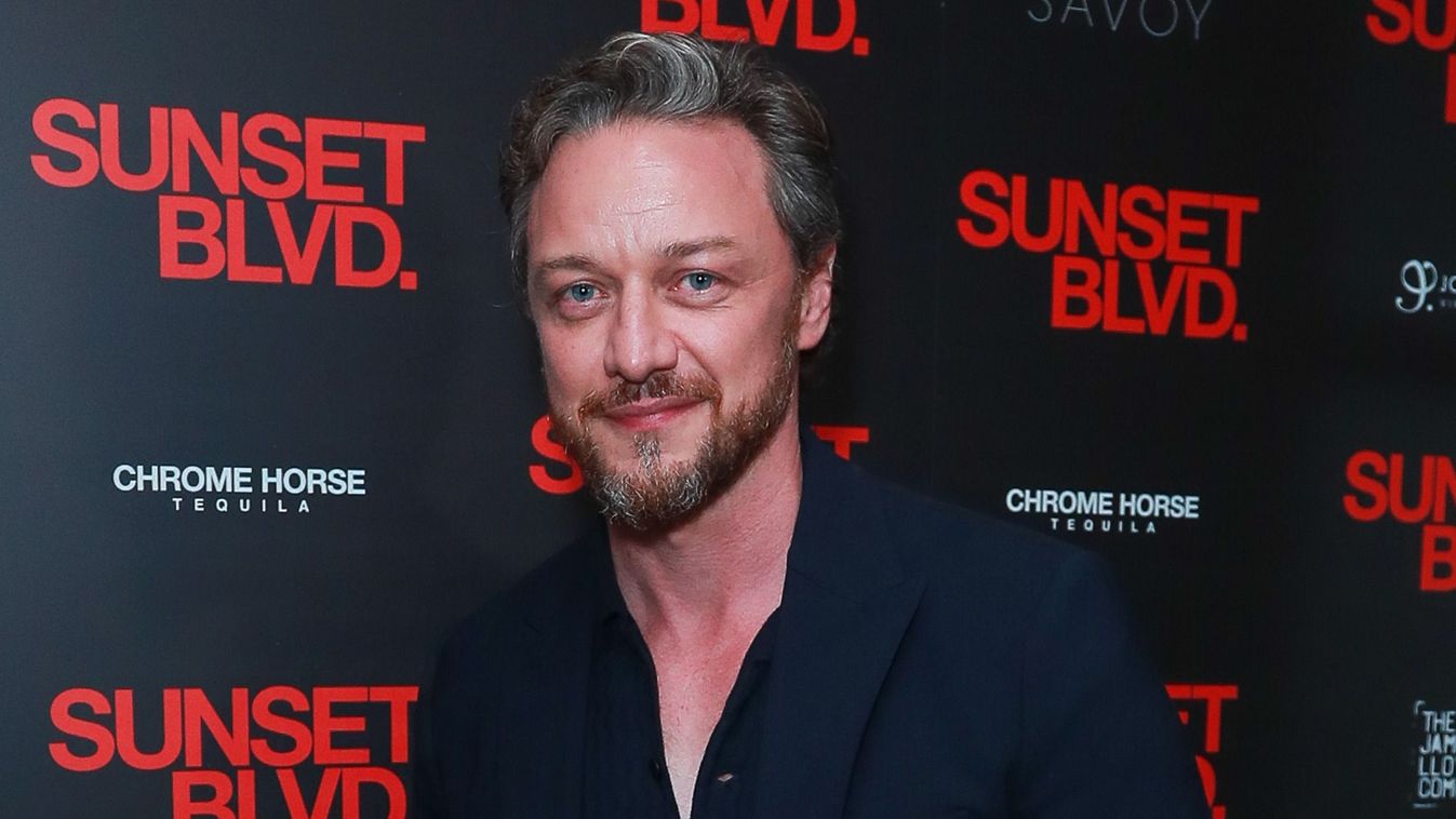 "Sunset Boulevard" - Press Night - After Party
james mcavoy