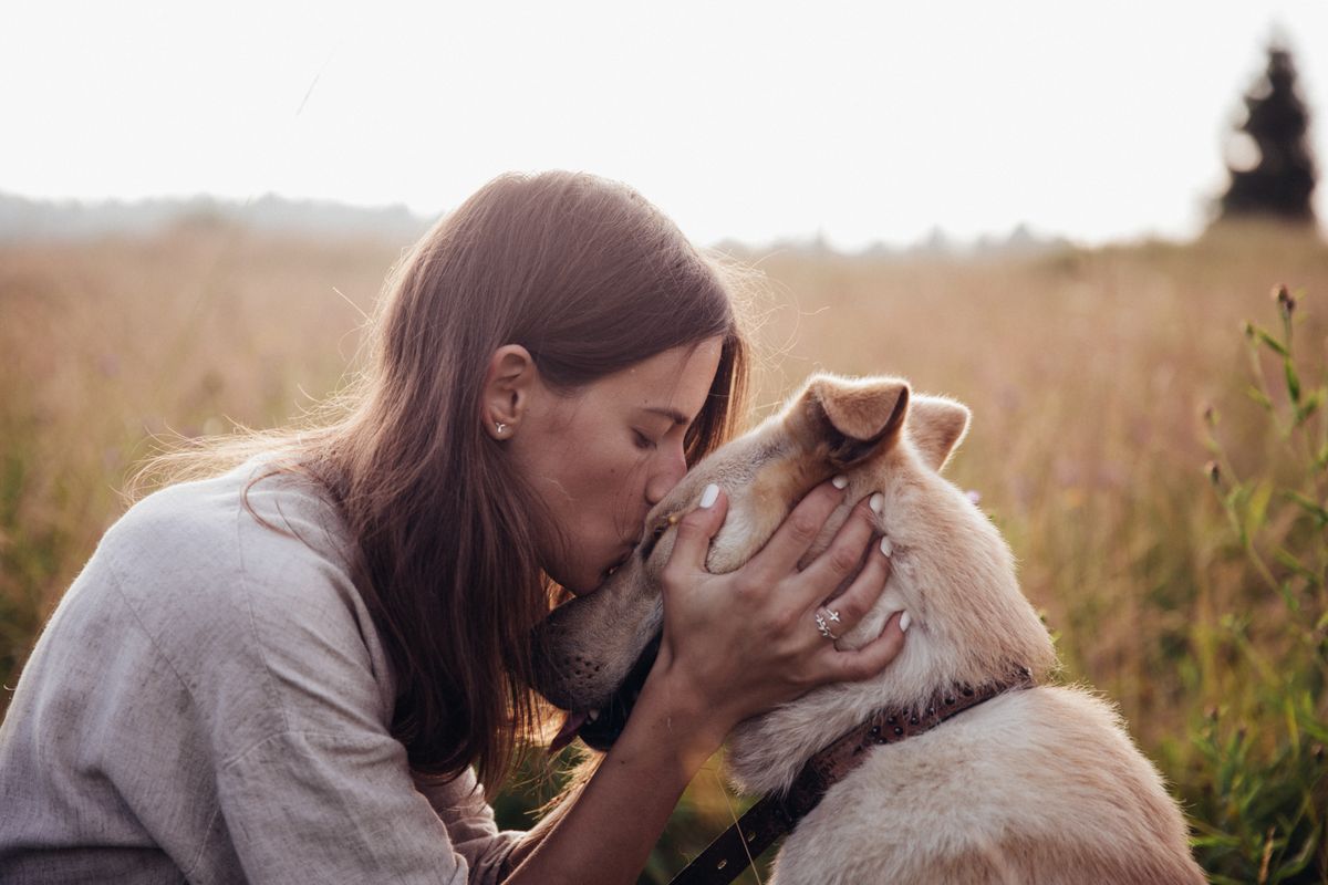 kutya, barátság, szeretet