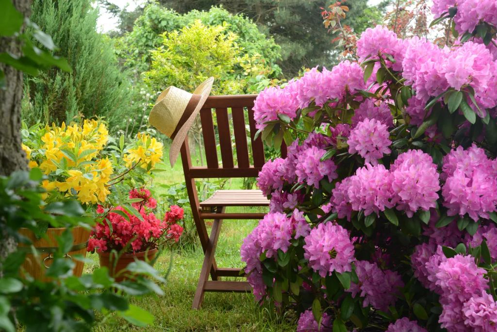 Relaxing,In,Garden