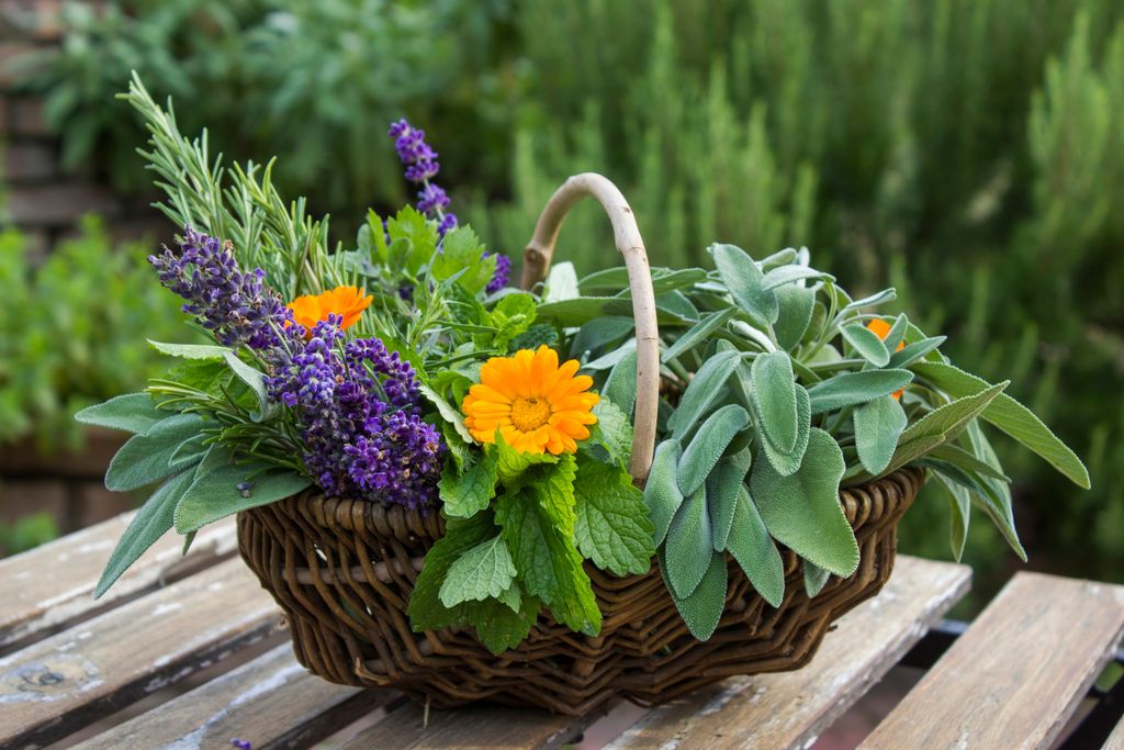 Freshly,Harvested,Herbs,In,A,Basket,On,A,Table