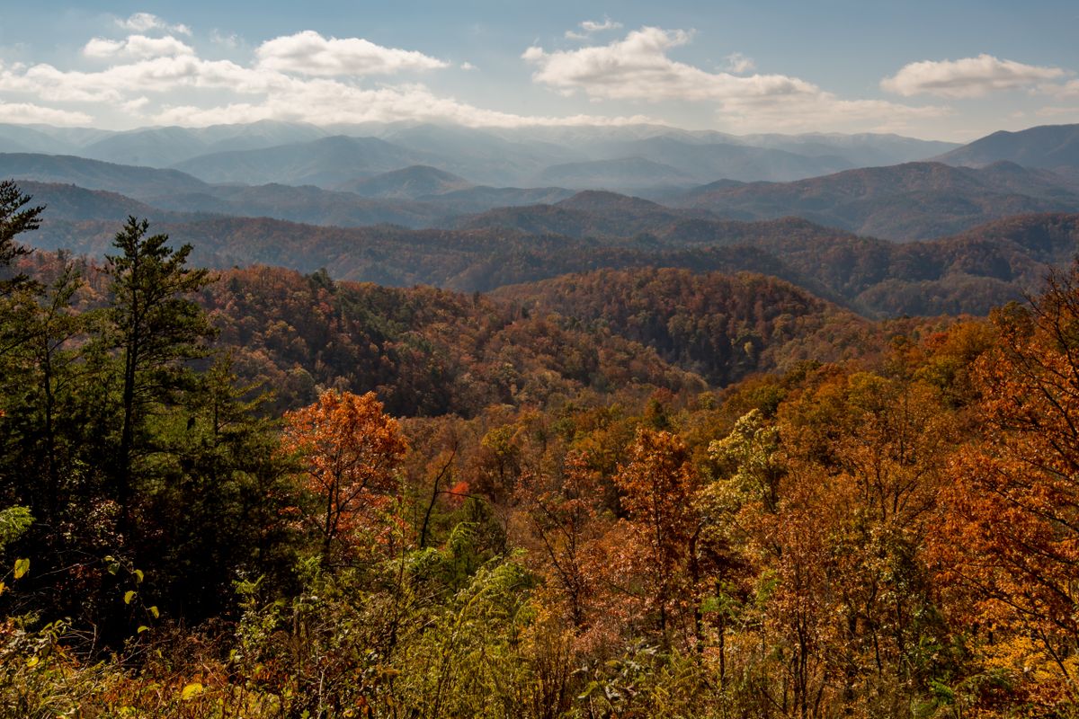 Great Smoky Mountains, meztelen kannibálok