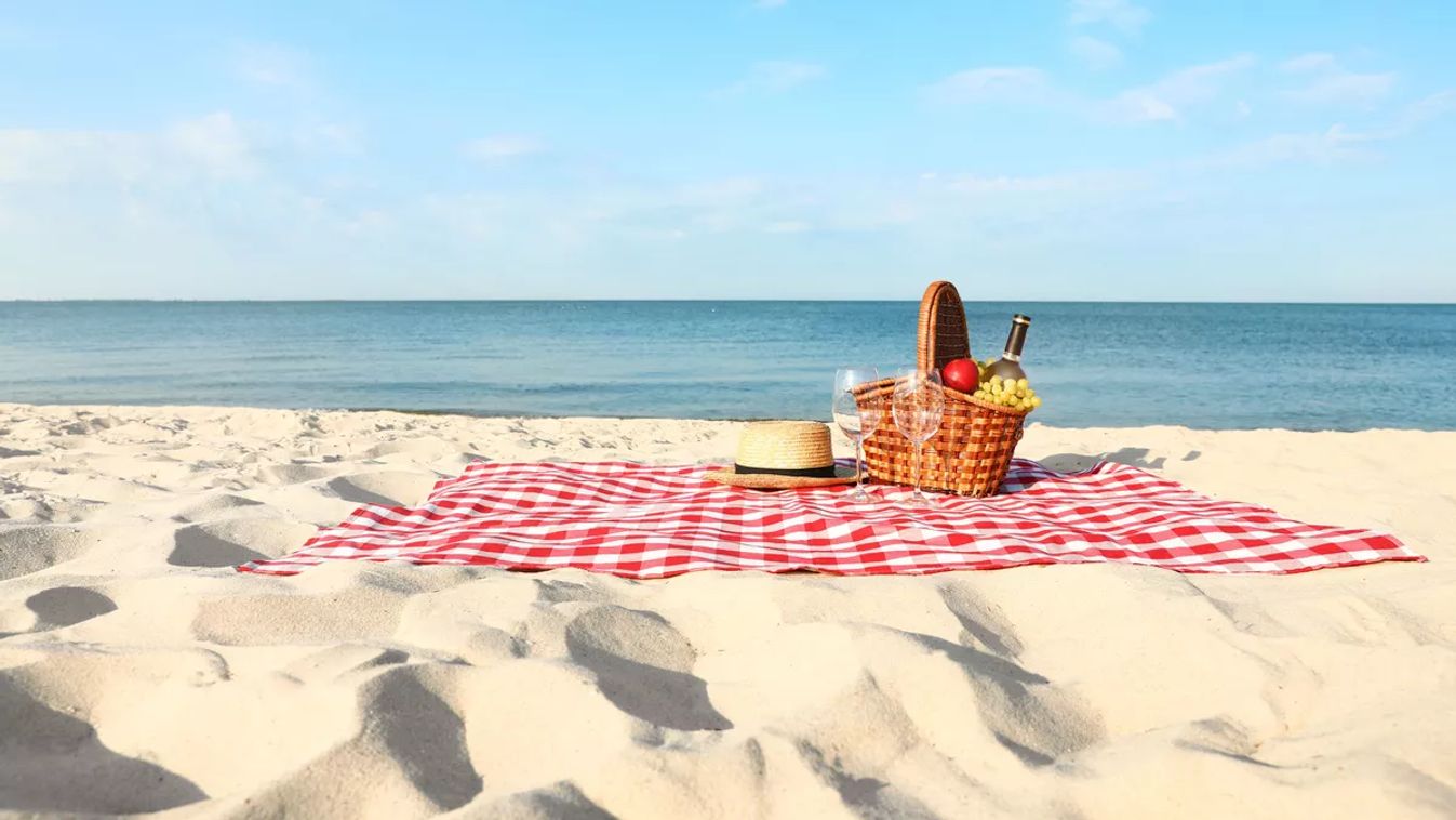 Checkered,Blanket,With,Picnic,Basket,And,Products,On,Sunny,Beach