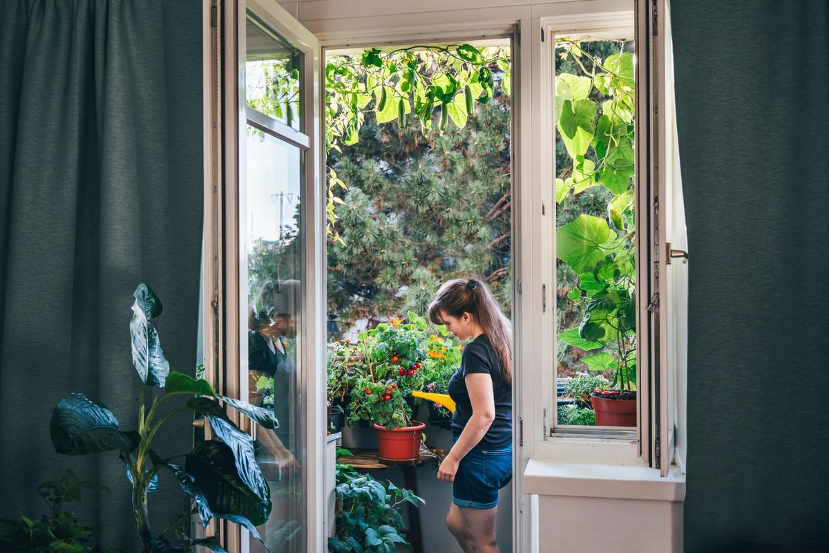 Mature woman watering plants in balcony at home