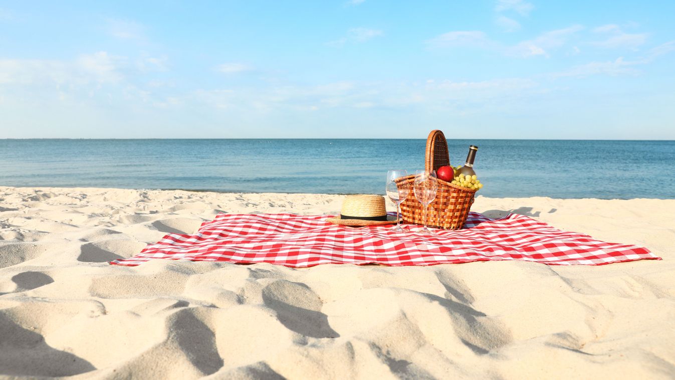 Checkered,Blanket,With,Picnic,Basket,And,Products,On,Sunny,Beach
