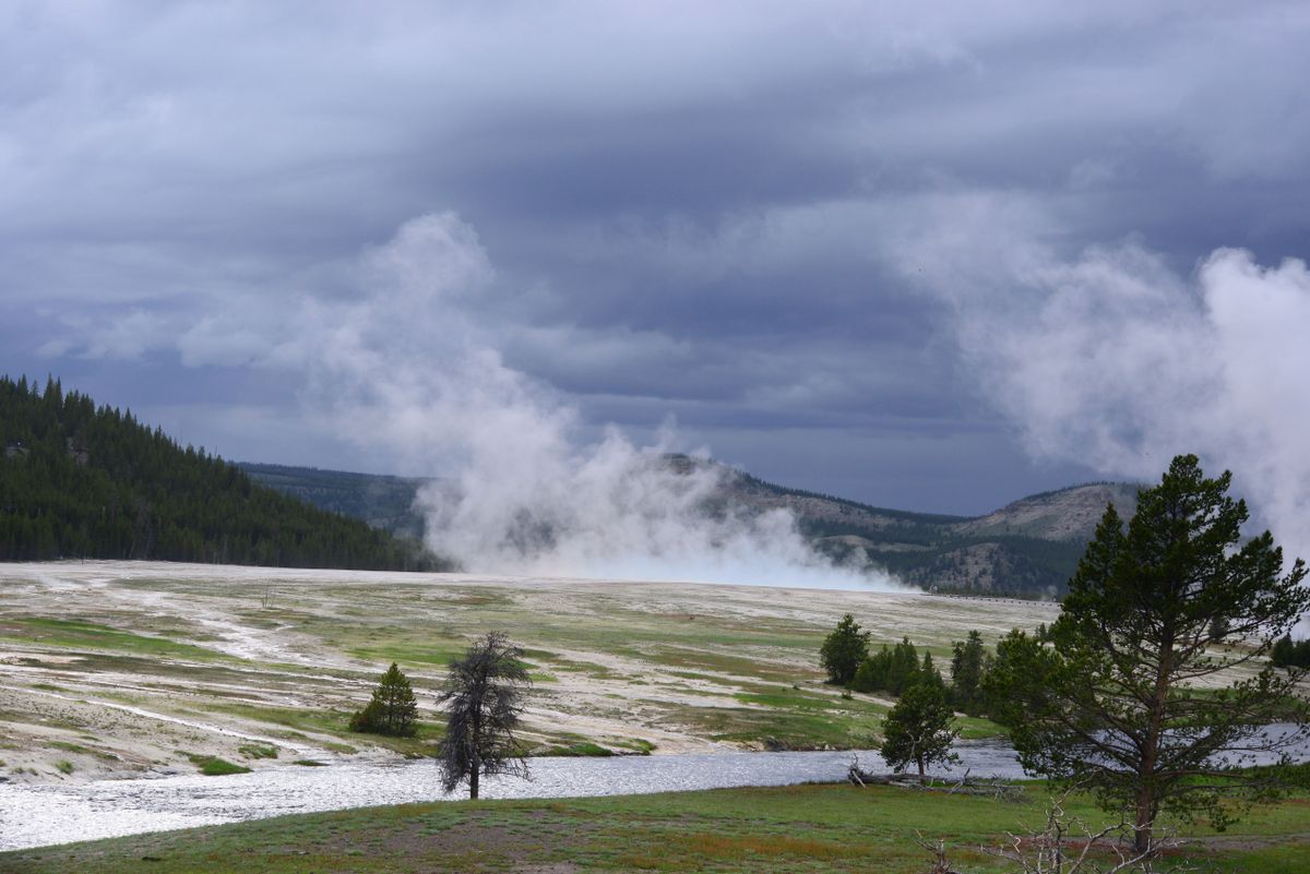 Columns of steam from the hot springs of Yellowstone National Park. Wyoming, United States of America