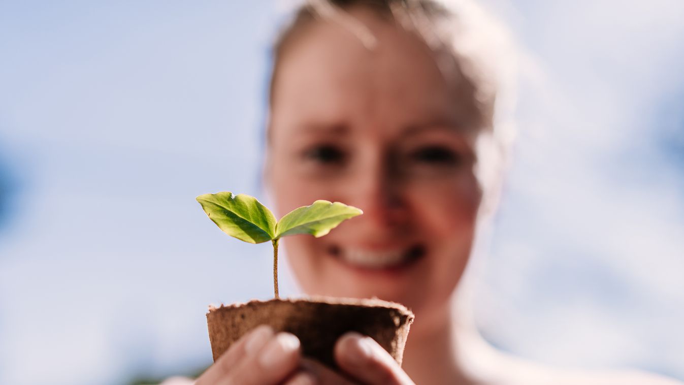 Happy woman looking at seedling outdoor.