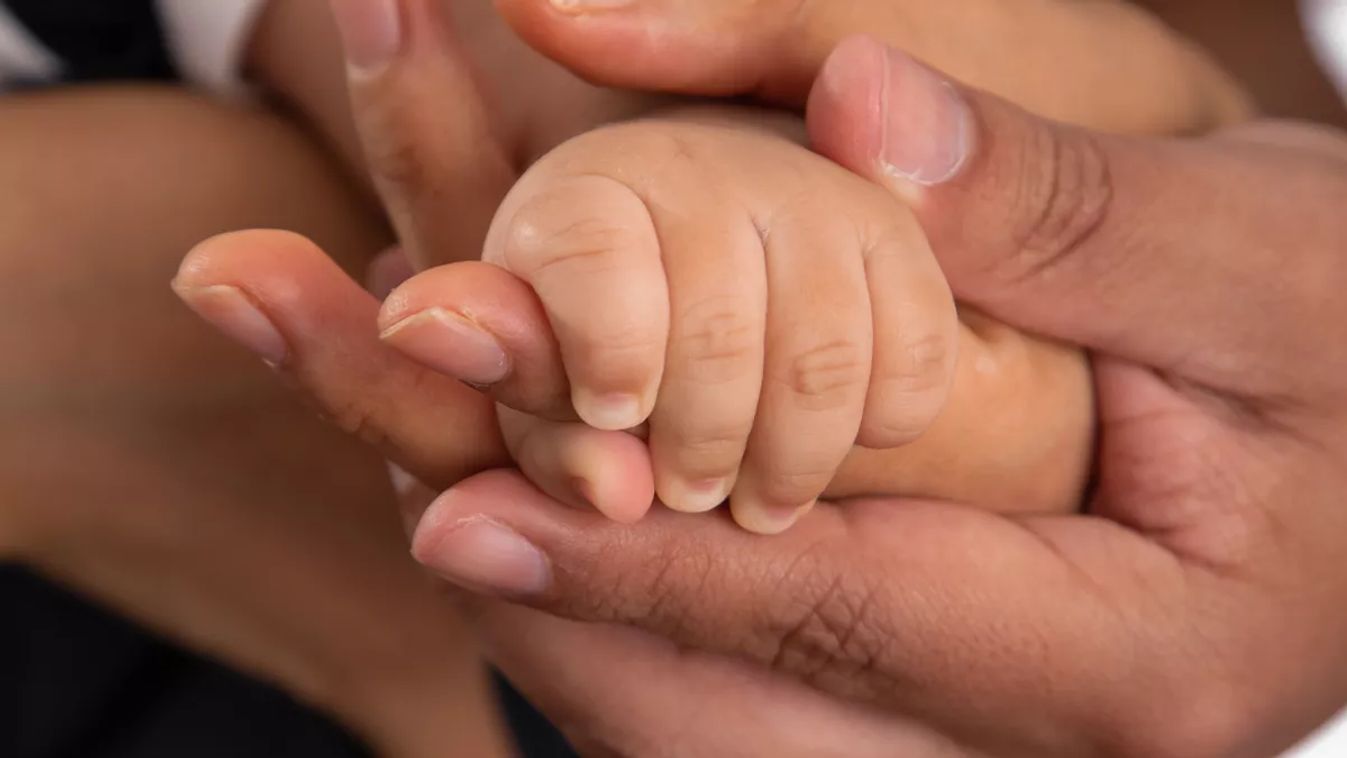Newborn,Baby,Little,Hands,Body,Part,Affection,Motherhood