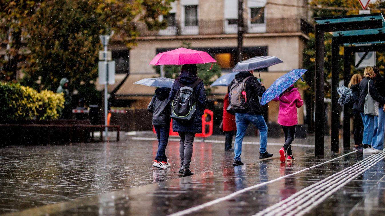 eső, időjárás, november, Budapest