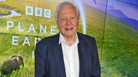 Sir David Attenborough 98 éves lett: 5 mellbevágó idézet bolygónk hangjától