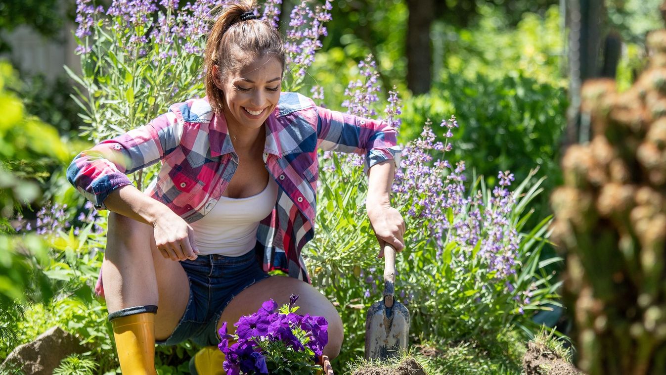 Attractive,Woman,Gardening,On,Sunny,Day.,Young,Gardener,Crouching,In