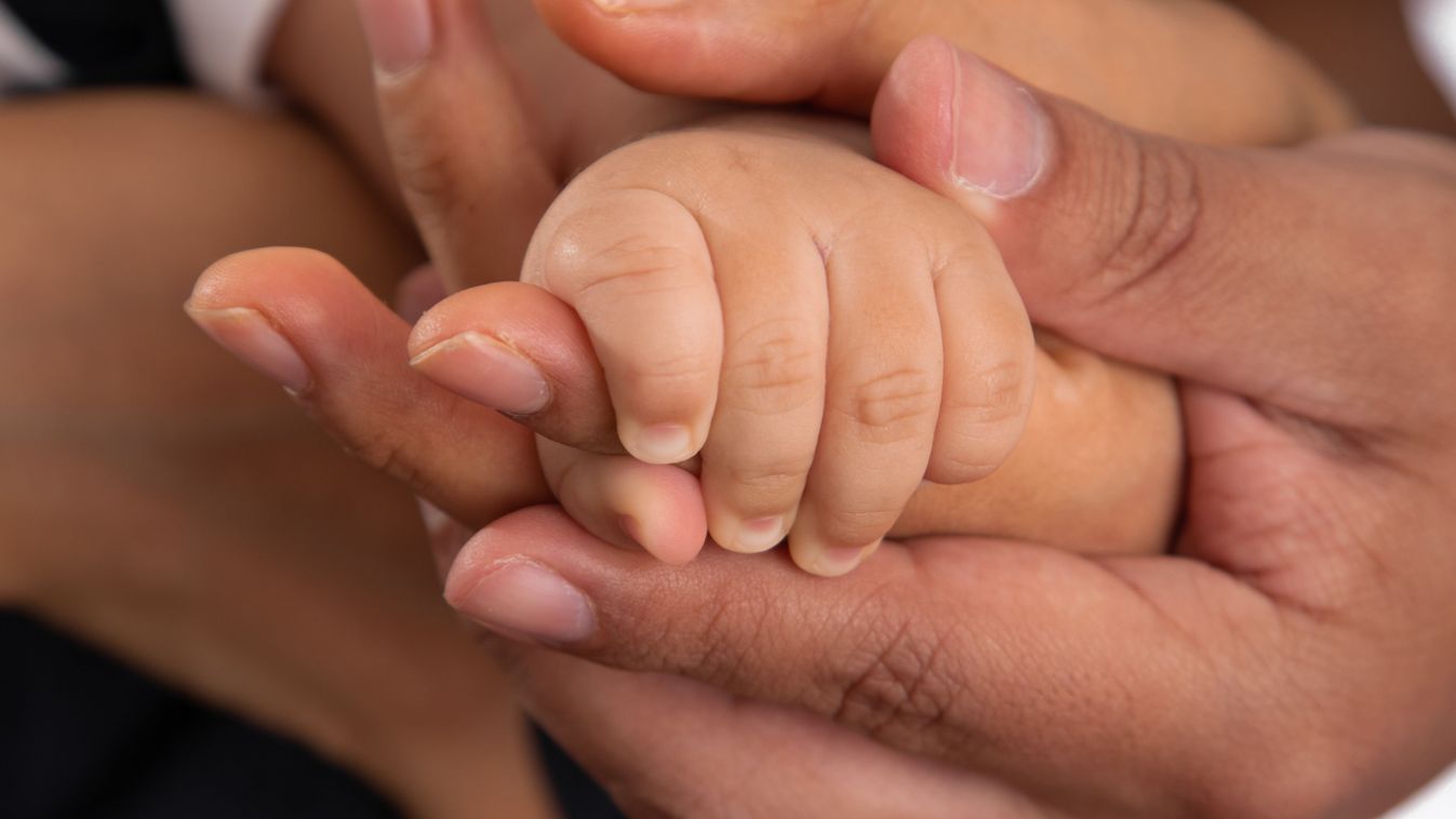 Newborn,Baby,Little,Hands,Body,Part,Affection,Motherhood