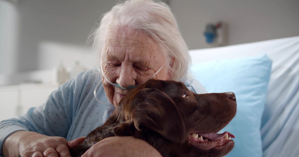 Close,Up,Portrait,Of,Aged,Woman,Patient,Hugging,And,Stroking