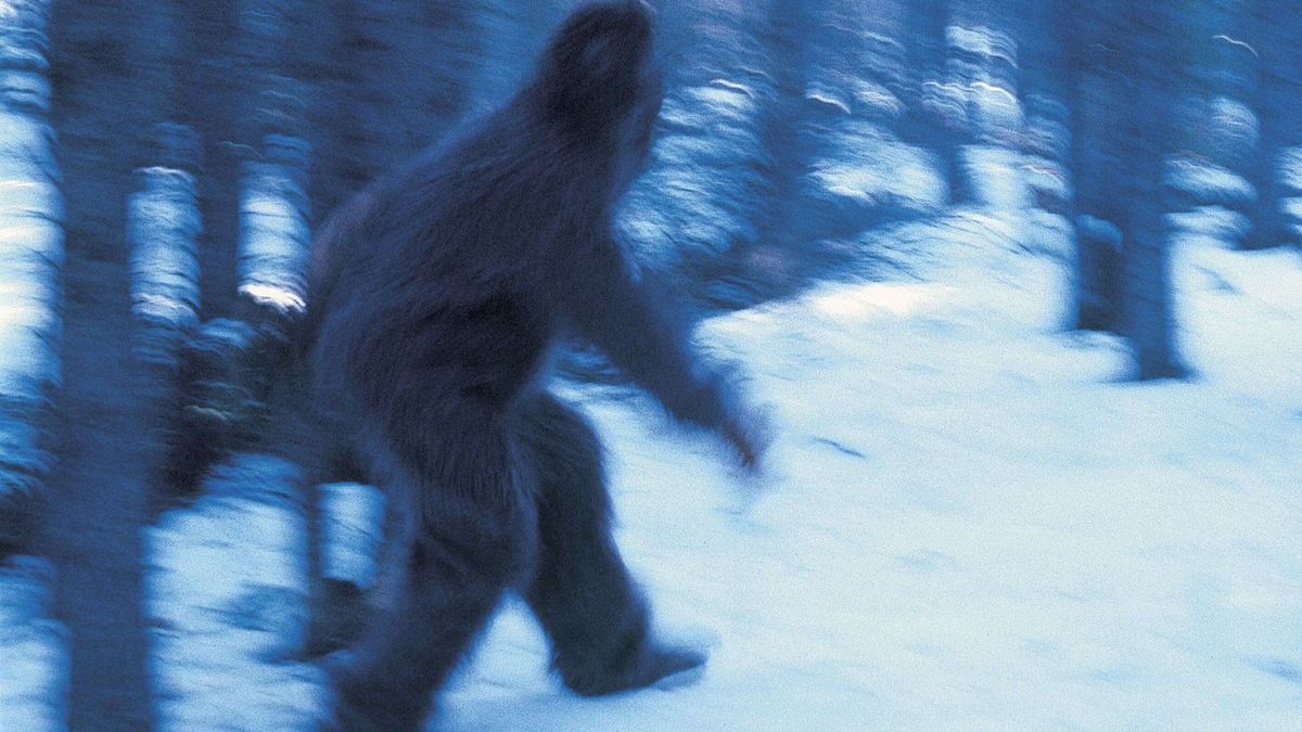 A Bigfoot rejtélye régóta foglalkoztatja az embereket