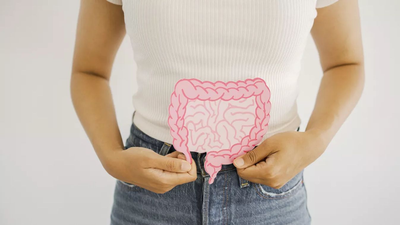 Woman,Hands,Holding,Intestine,Shape,,Healthy,Bowel,Digestion,,Leaky,Gut,