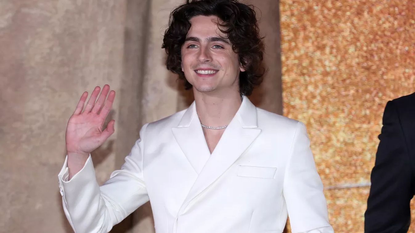 Timothee Chalamet